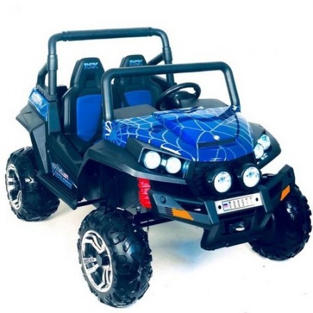 Электромобиль RiverToys внедорожник BUGGY T009TT-SPIDER (4*4) 