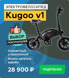 kugoo v1